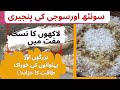 سونٹھ اور سوجی کی پنجیری سوجی اور سونٹ کیسے بنائی جاتی ہے سونٹھ کے فوائد AMFOODS546 Youtube سونٹھ اور سوجی کی پنجیری سوجی اور سونٹ کیسے بنائی جاتی ہے سونٹھ کے فوائد AMFOODS546 Youtube