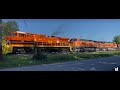 Alberta Heartland Loco, B&P New paint, Arcade & Attica Steam and a Snapping Turtle near the tracks.