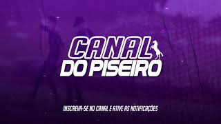 BIU DO PISEIRO - JUNHO 2020 - LIVE DO VÉI - REPERTÓRIO NOVO l (CanalDoPiseiro)