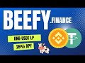 Finding Liquidity Pools Using Beefy Finance