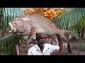 15KG BIG FISH FINGER RECIPE | குருவளை மீனில் ருசியான சமையல் | Prepare by Karuppasami Village Grandpa
