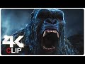 Kong Screams Scene | MONARCH LEGACY OF MONSTERS (NEW 2024) CLIP 4K