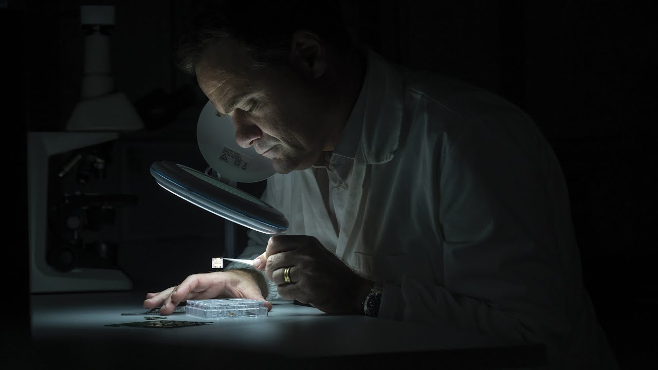 Rolex Awards  - Mark Kendall – Medical alerts from a sticker on your hand - Music by Tom E Morrison