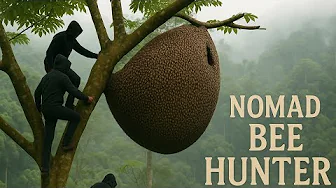 Wild Bee Hunting: Master Tree Climbing and Honey Harvesting Skills"