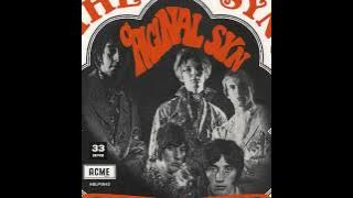 The Syn - Mr White's White Flying Machine