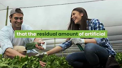 is organic really better healthy food or trendy scam