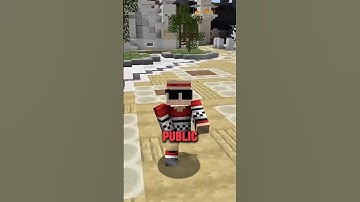 The Best SMP for your 2 Week Minecraft Phase! #mc #mcyt #minecraft #java #bedrock