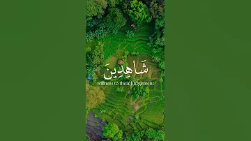 تلاوه لا توصف لفضيله الشيخ عبد الباسط عبد الصمد حالات واتس 