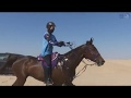 انطلاق مهرجان سلطان بن زايد الدولي لركوب القدرة والتحمل 2018 انطلاق مهرجان سلطان بن زايد الدولي لركوب القدرة والتحمل 2018