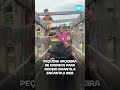 Vaqueira raiz: Garotinha se oferece para rodeio de criança e encanta a web #shorts