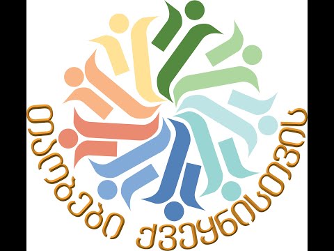 ონლაინ შეხვედრის ჩანაწერი- რას აკეთებს პლატფორმა თაობები ქვეყნისთვის ემიგრანტებისთვის