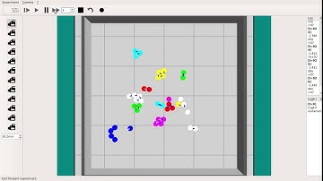 A Minimalistic Approach to Segregation in Robot Swarms - 8 class 40 robots 0.1 density #2