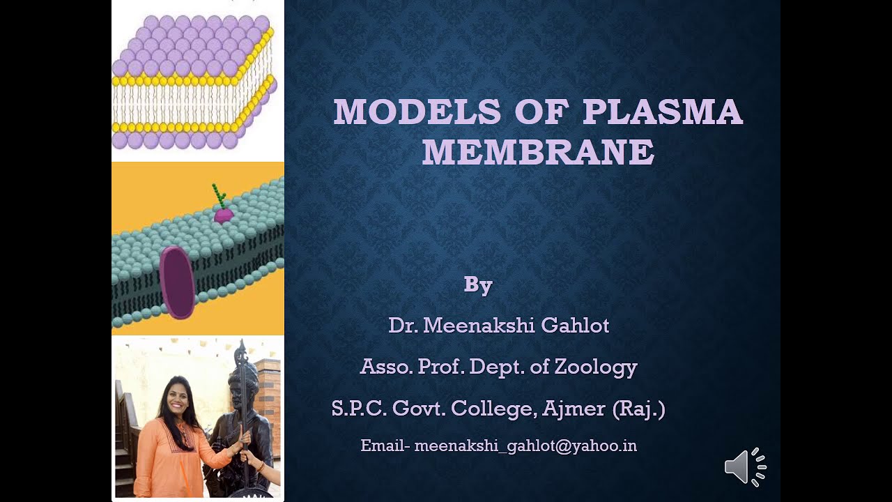 MODELS OF PLASMA MEMBRANE YouTube