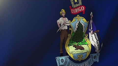 Maine Flag Waving In The Wind. Looping Sun Rises Style. Animation Loop Stock Animation