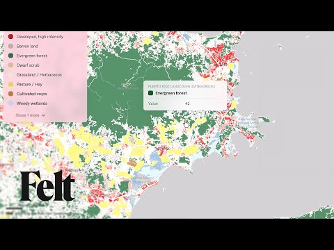 Raster Data Classifications