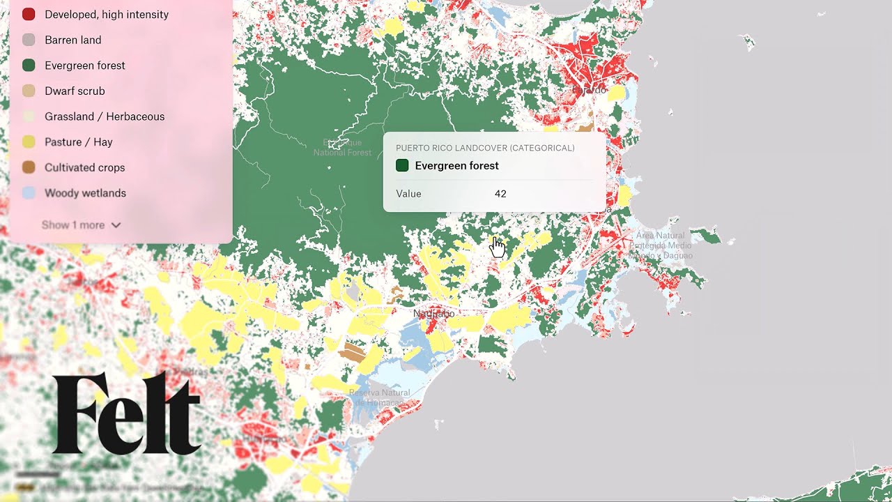 Raster Data Classifications in GIS | Understanding Raster vs Vector Datasets