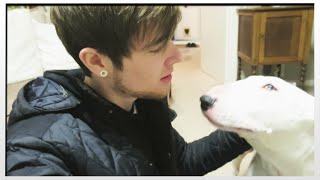 ANOTHER DOG?! | MoreTDM