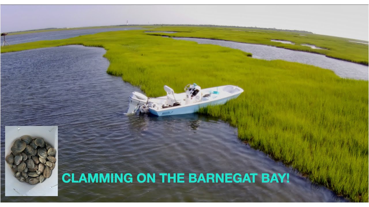Clamming in the Barnegat Bay!!