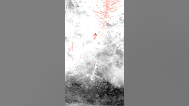 Search and Rescue - Thermal Imaging camera on the Mavic 3T Drone #dronefootage #drone #search