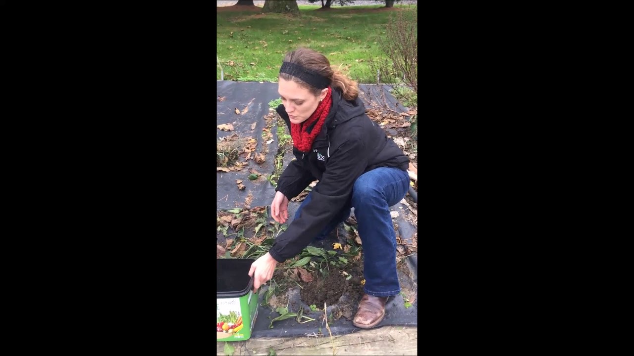 Preparing your garden for winter - YouTube