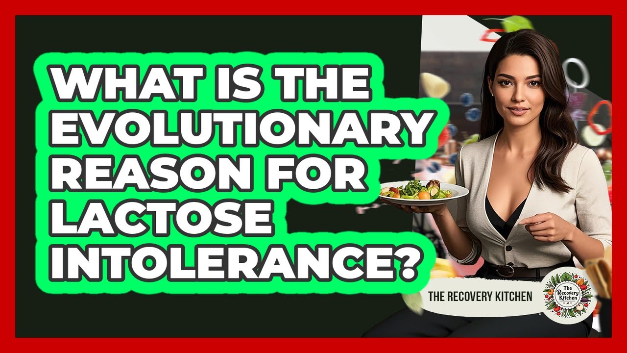 What Is The Evolutionary Reason For Lactose Intolerance? - The Recovery Kitchen