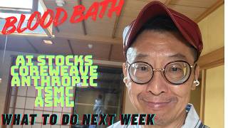 BLOODBATH IN AI STOCKS & ETF - WHAT TO DO NEXT WEEK