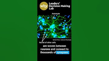 Overwhelmed at Work? Here