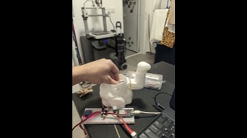 3D-Printed Cat: Arduino-Powered Dual-Axis Motion Detection #3dprinting #esp32 #arduinoproject