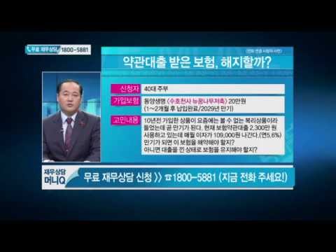 보험계약대출