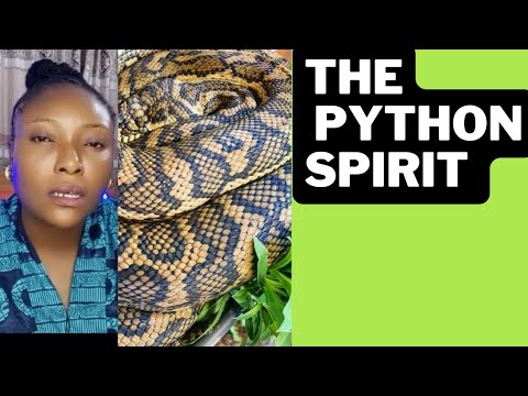 EXPOSING THE PYTHON SPIRIT - YouTube