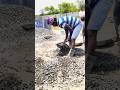 लेडर बीम पुरी ढलाई हो गई #construction #civilengineering #rajmistridesign #civilwork #viral #video