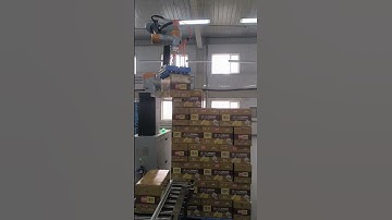 Collaborative robot palletizing for customization