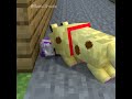 I think the dog will go to heaven?! - Part 25