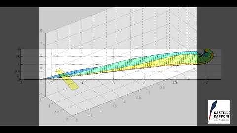 CRG-197 : Panel Method, Vortex Lines and Unsteady Wake