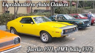 AMC Javelin 1971, AMX Rally 1978, Rambler American 1970, Gremlin con toda la farmacia, Javelin 1970