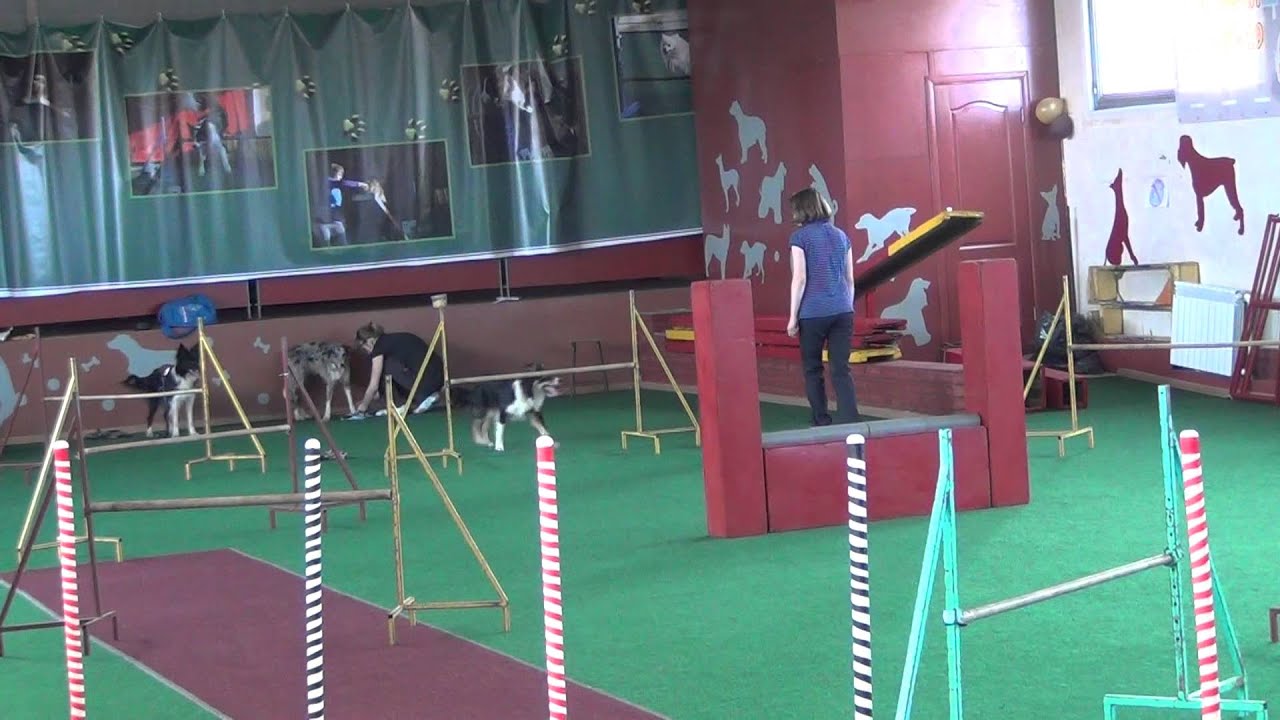 кд1 тренировка 018 - YouTube