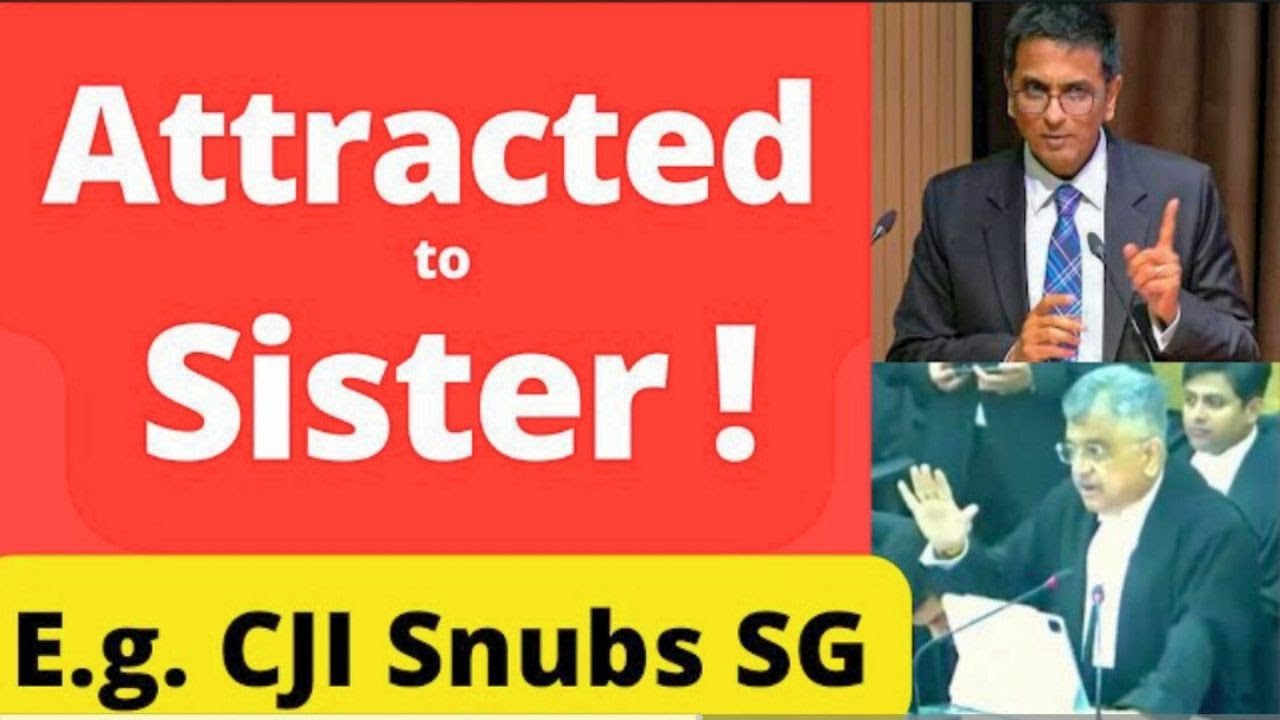 Same Sex Marriage :- Supreme Court of India live | CJI Cchandchud ...