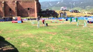 Hugo and Kissy - Gotor Cup 2013 Agility