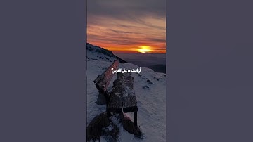 أجمل تلاوة ممكن تسمعها اليوم