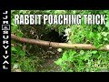 Rabbit Poaching Trick