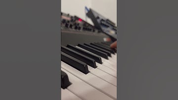 Korg MS 20 & Arp Odyssey Jam #shorts #electronica #analogsynthesizer