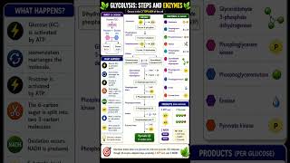 NEET important topic (Glycolysis) #biology #neetaspirents #viral #neet #science #viralvideo #video