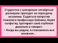 Студентка с Четвертым Размером Пришла на Пересдачу! Сборник Свежих Смешных Жизненных Анекдотов!