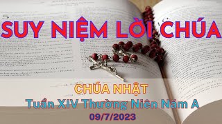 Suy Niệm Lời Chúa, Chúa Nhật Tuần XIV Thường Niên năm A (09/07/2023)
