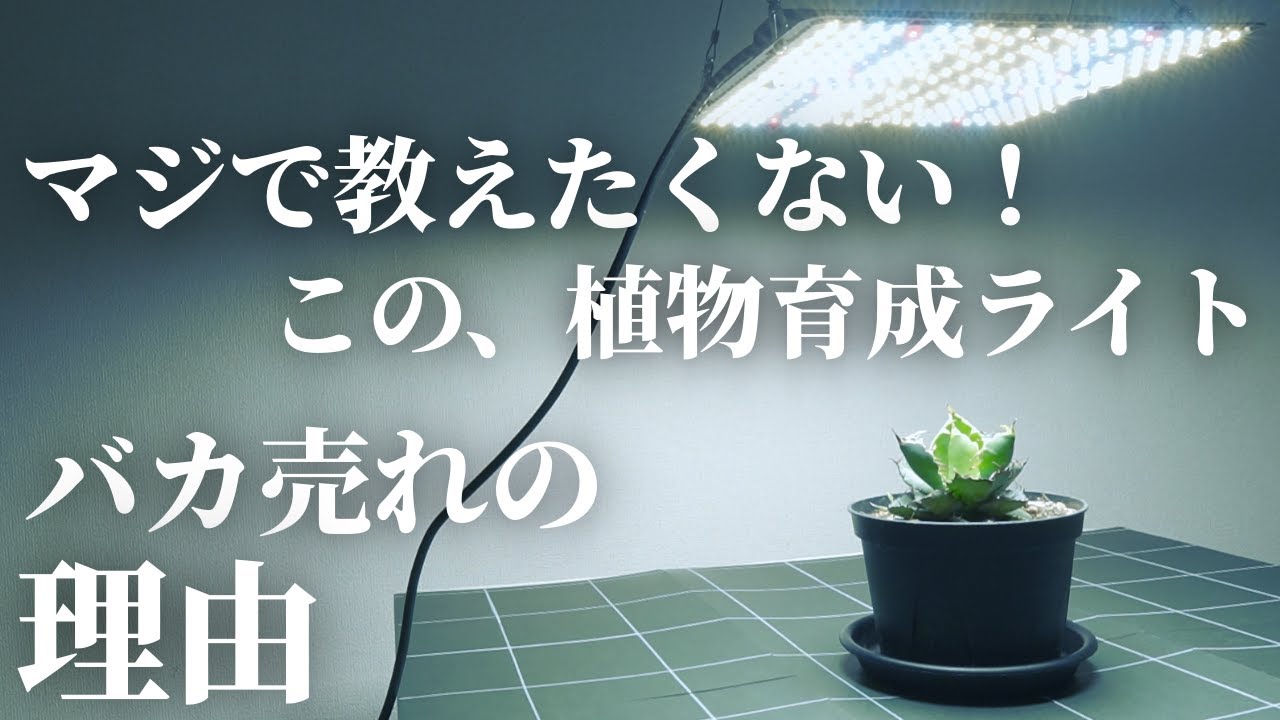 超おすすめ】まるで太陽！植物育成用LEDパネルライト「怪獣フレア301