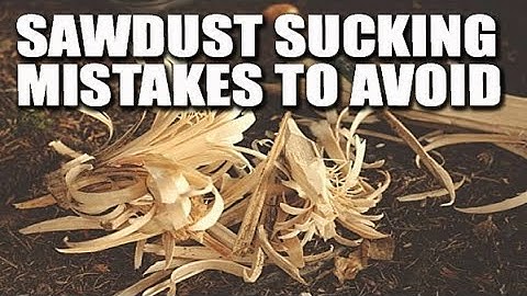 The WORST things you can do in a dusty woodshop