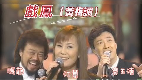 黃梅調「戲鳳」（菲哥小哥+江蕙，2003除夕節目）