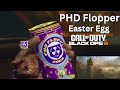 PHD Flopper Easter Egg on Citadelle Des Morts (Black Ops 6)