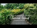 The ambiance of our landscape  artworks design at sanna ubud a pramana experience