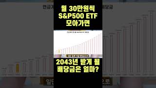 If You Invest 300000 Won Per Month In The Tiger Us Su0026p 500 You Will Receive The Dividend In 204